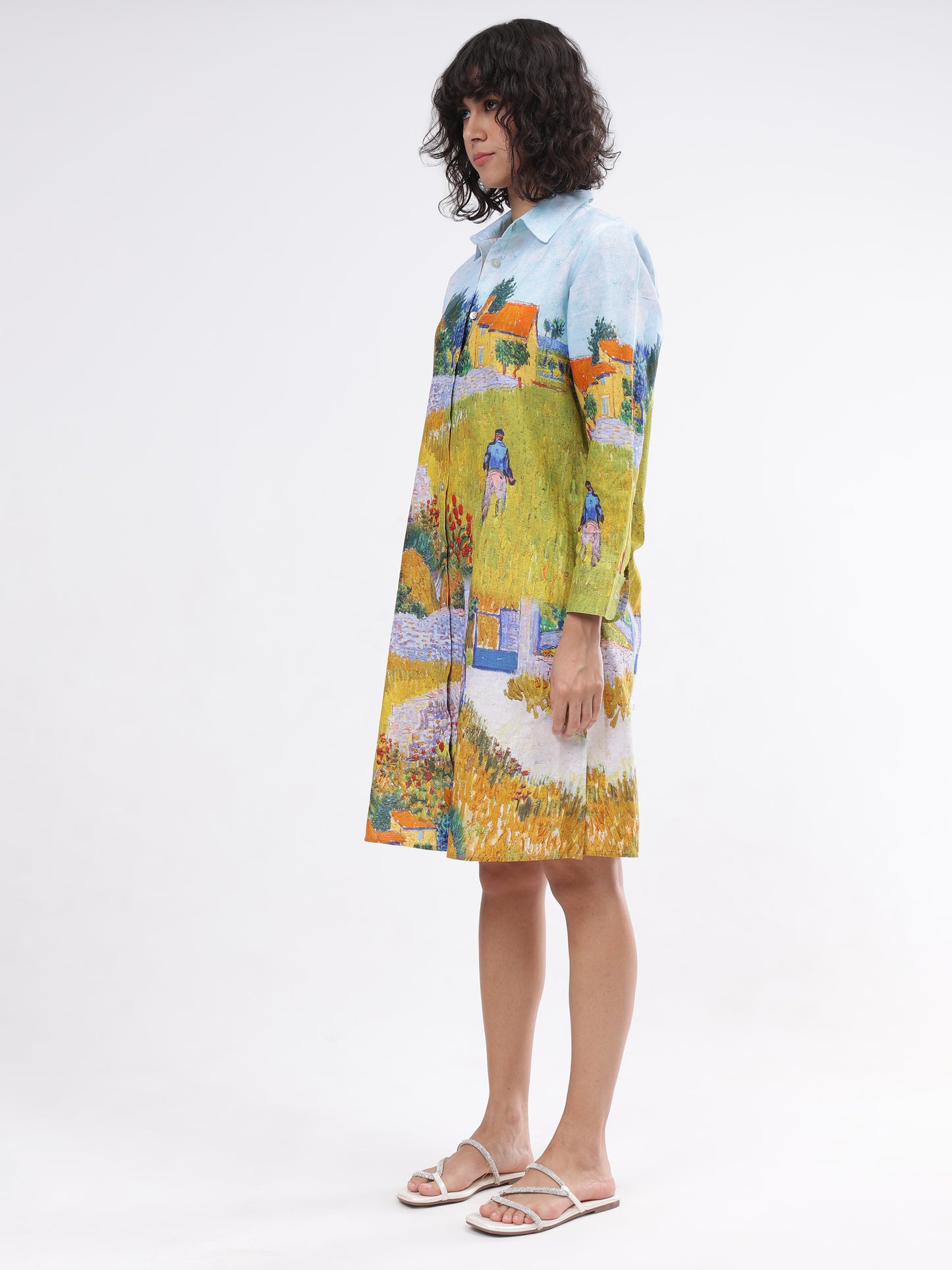 Van Gogh Button Down Dress