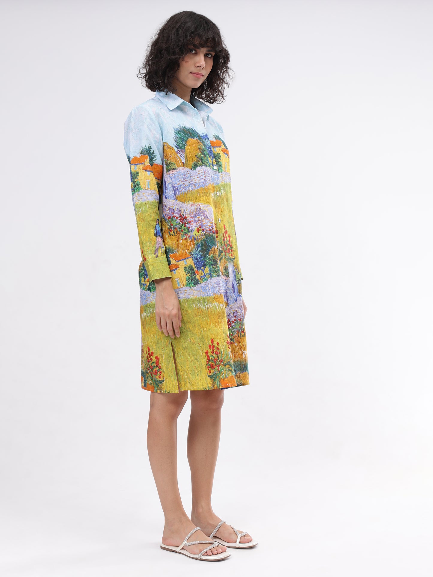 Van Gogh Button Down Dress