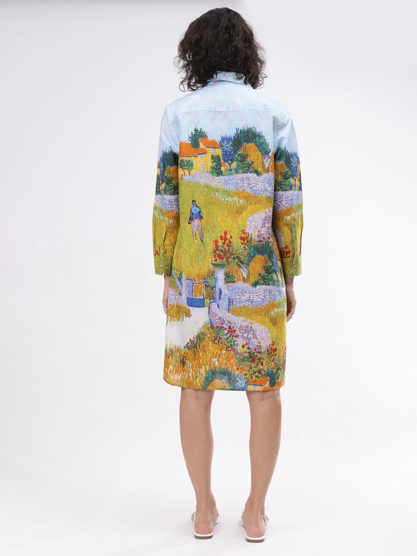 Van Gogh Button Down Dress